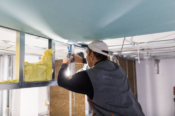Best Blown-in Insulation in Whiteman Af, MO