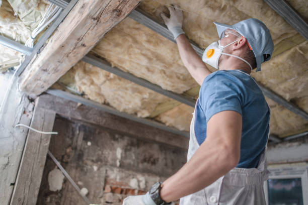 Best DIY Insulation Kits and Guidance in Whiteman Af, MO