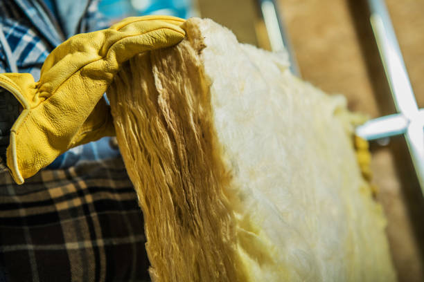 Best Geographic-Specific Insulation Services in Whiteman Af, MO
