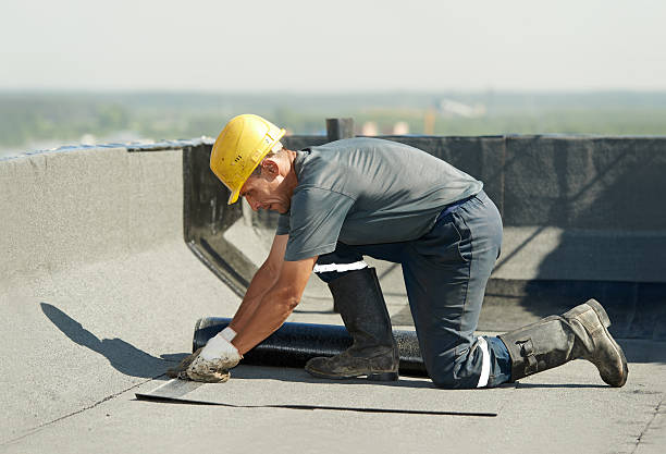 Best Geographic-Specific Insulation Services in Whiteman Af, MO