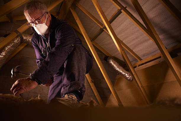 Best Eco-Friendly Insulation in Whiteman Af, MO